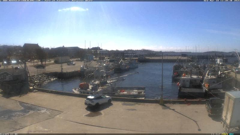 Marginal Wharf South