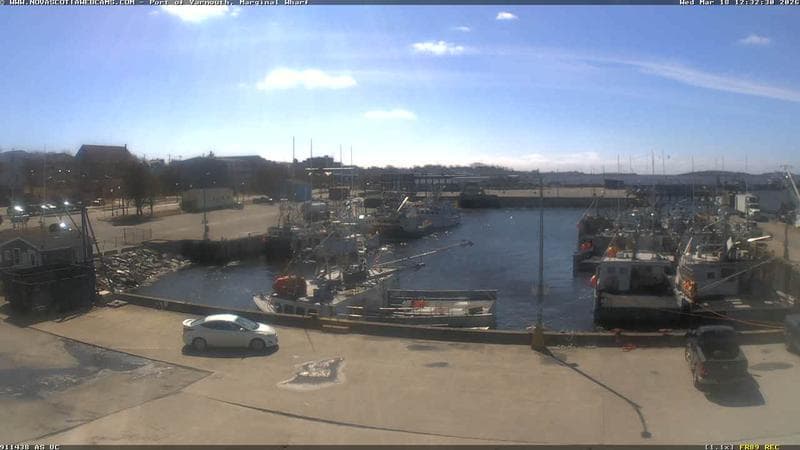 Marginal Wharf South