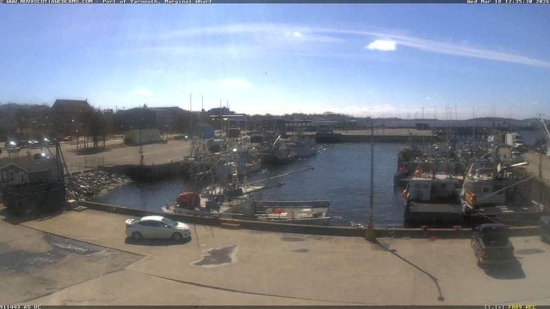 Marginal Wharf South