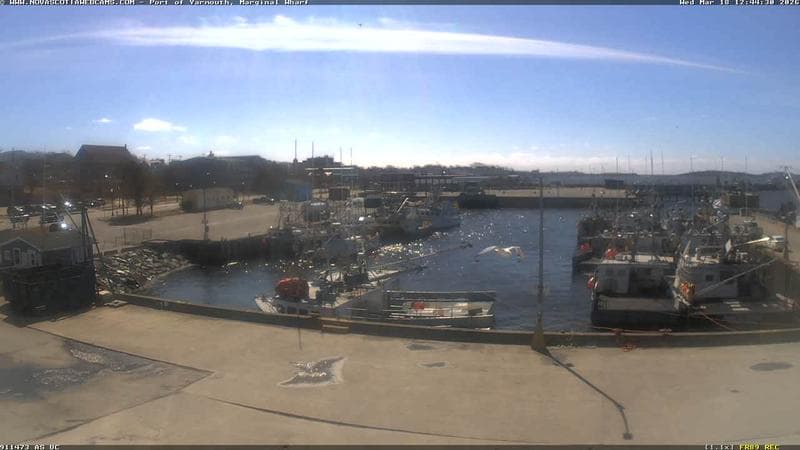 Marginal Wharf South