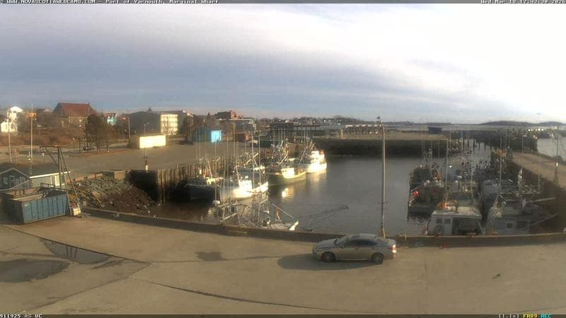 Marginal Wharf South