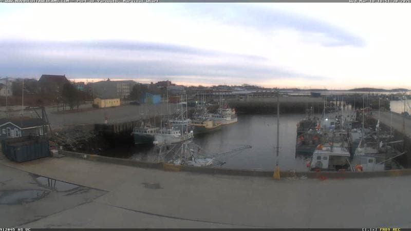 Marginal Wharf South