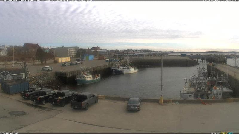 Marginal Wharf South