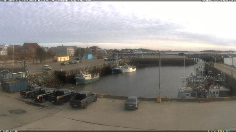 Marginal Wharf South