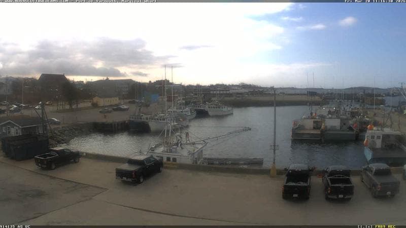 Marginal Wharf South