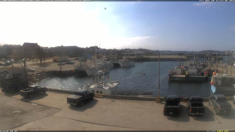 Marginal Wharf South