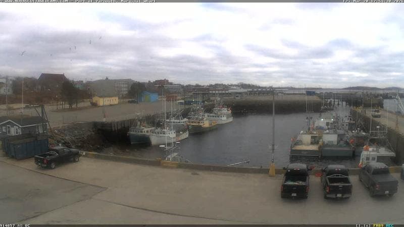 Marginal Wharf South