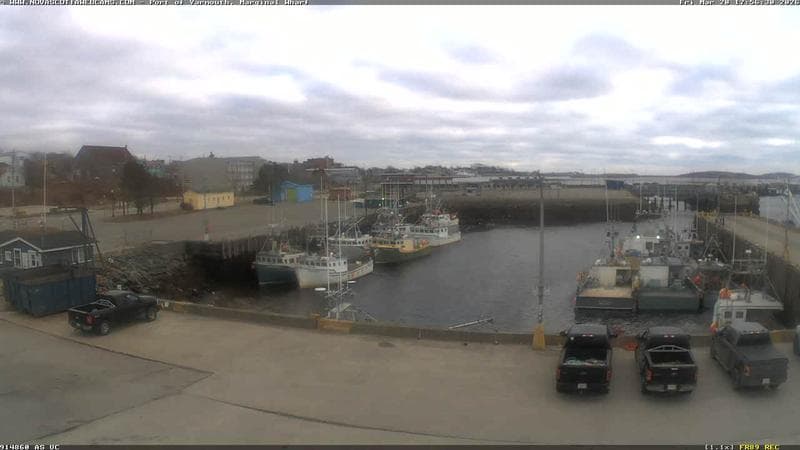 Marginal Wharf South