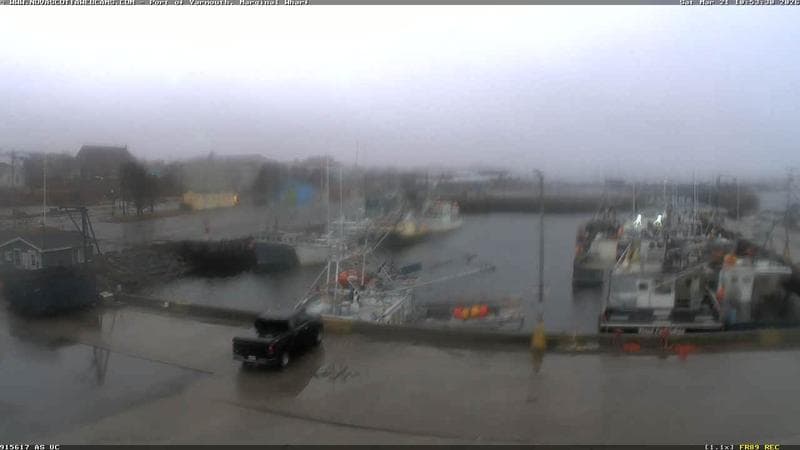 Marginal Wharf South