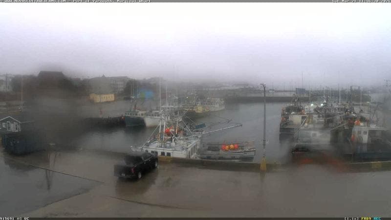 Marginal Wharf South