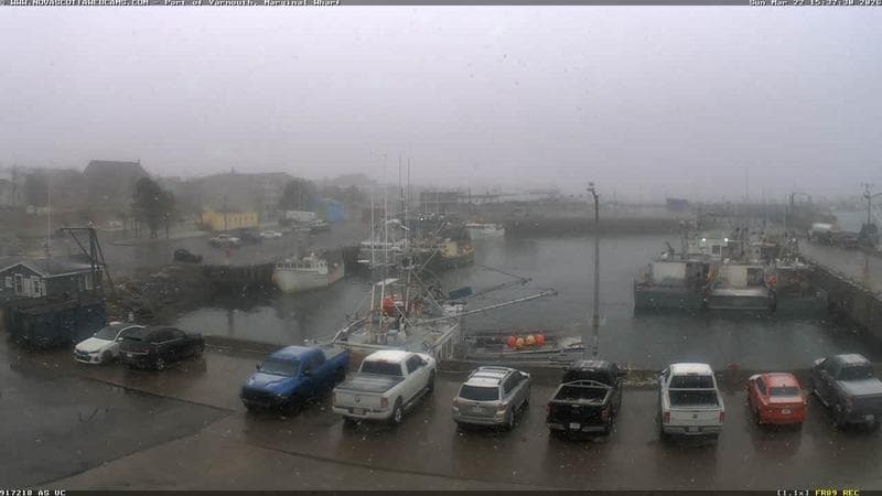 Marginal Wharf South