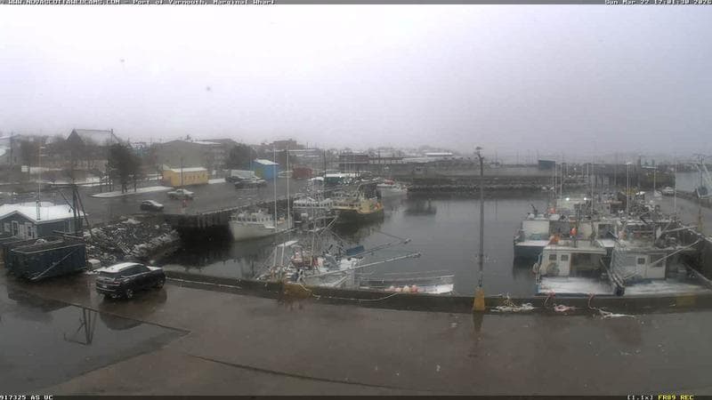 Marginal Wharf South