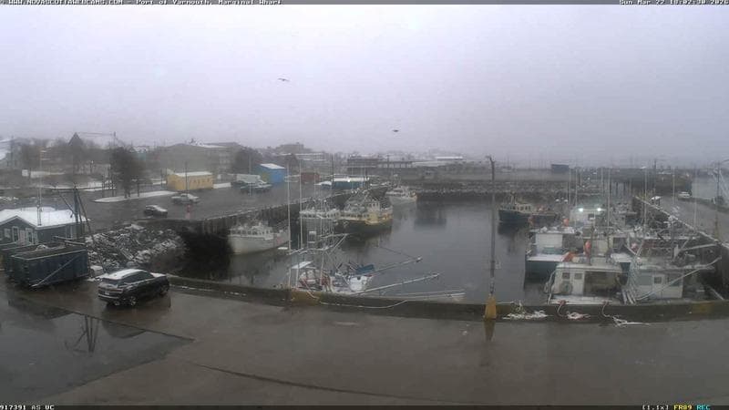 Marginal Wharf South