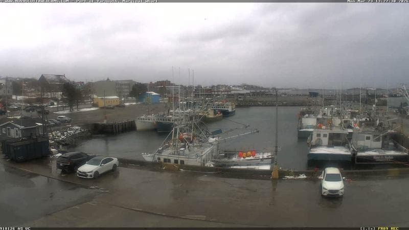 Marginal Wharf South