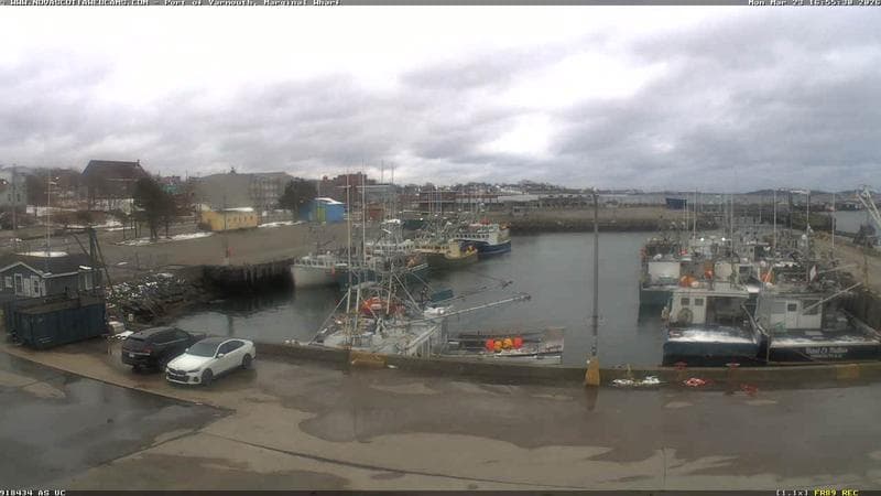 Marginal Wharf South