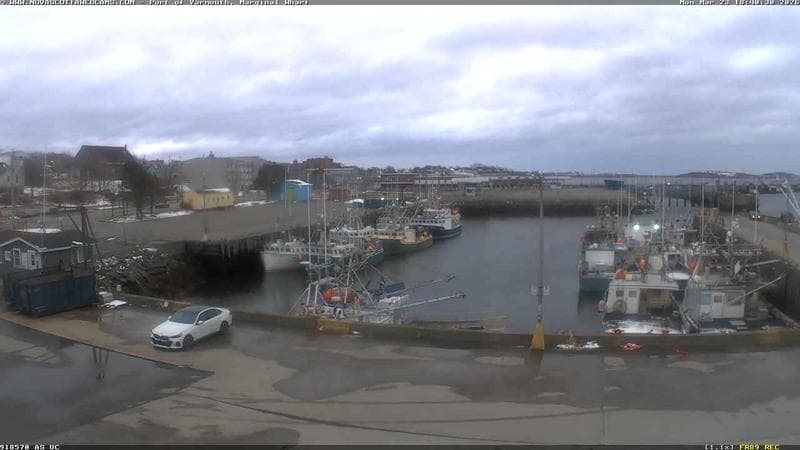 Marginal Wharf South