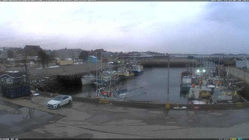 Marginal Wharf South