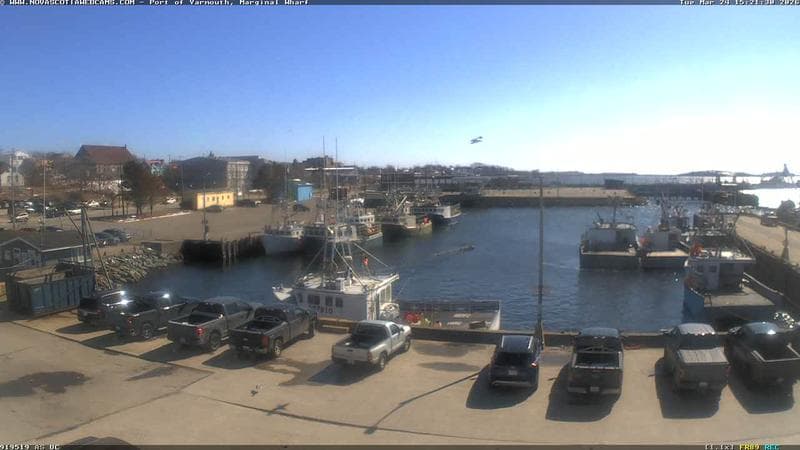 Marginal Wharf South