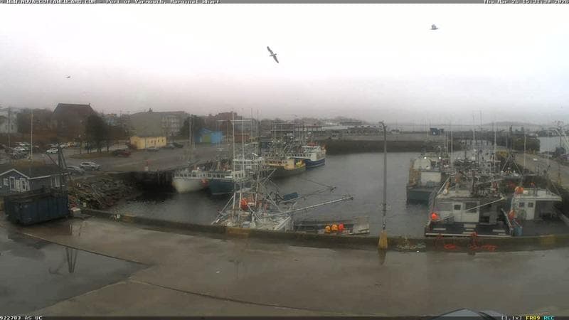 Marginal Wharf South