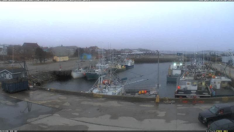 Marginal Wharf South