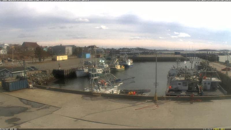 Marginal Wharf South