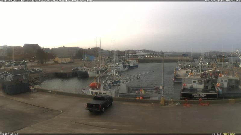 Marginal Wharf South