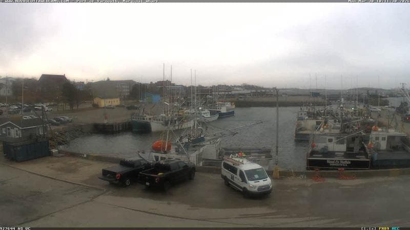 Marginal Wharf South