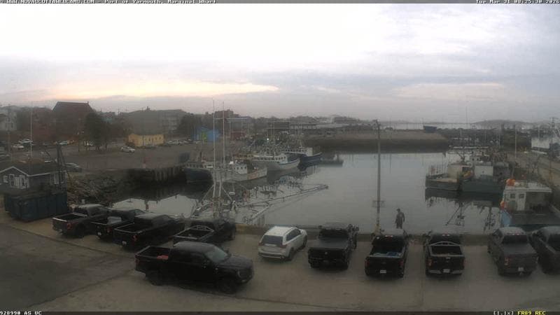 Marginal Wharf South