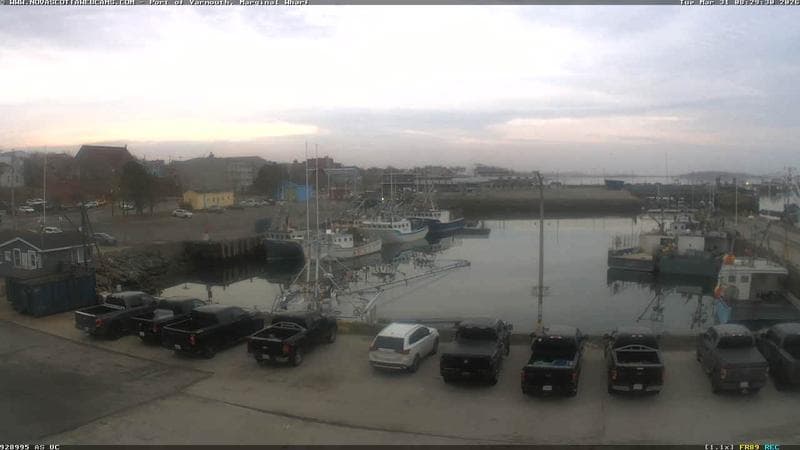 Marginal Wharf South