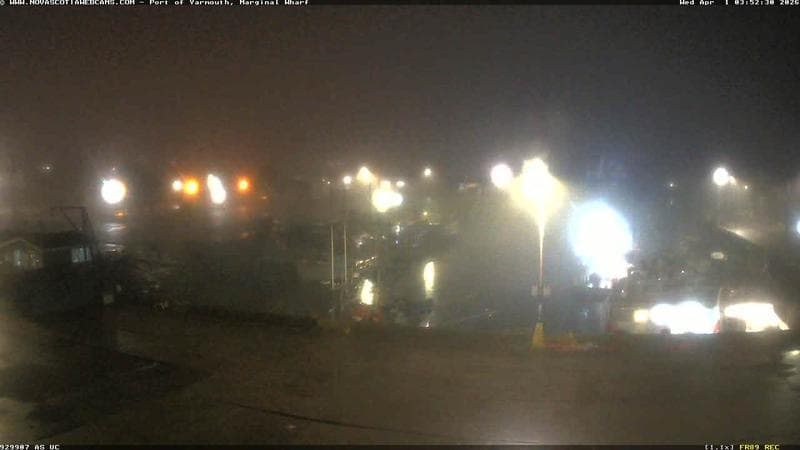 Marginal Wharf South