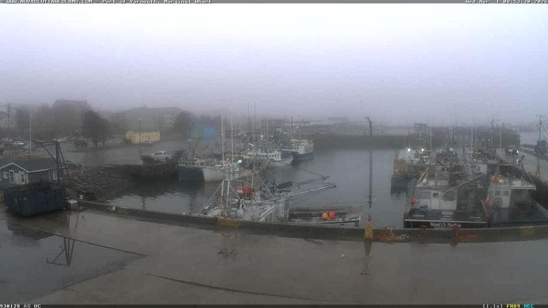 Marginal Wharf South