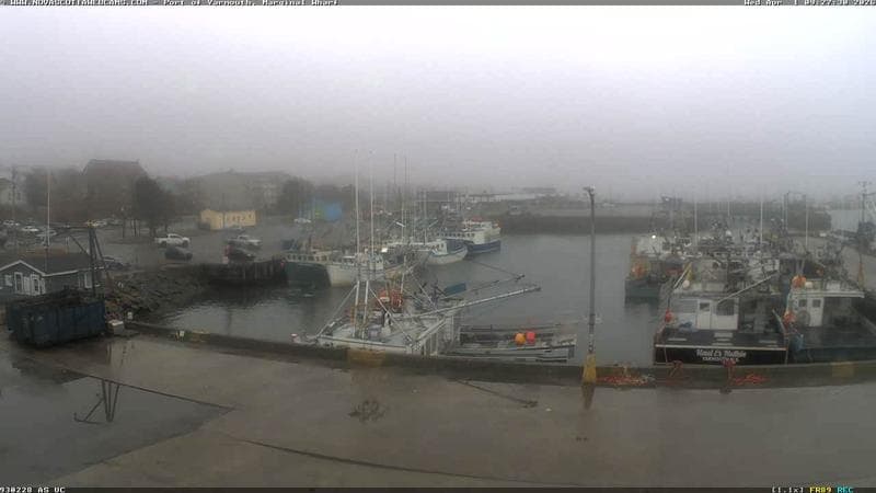 Marginal Wharf South