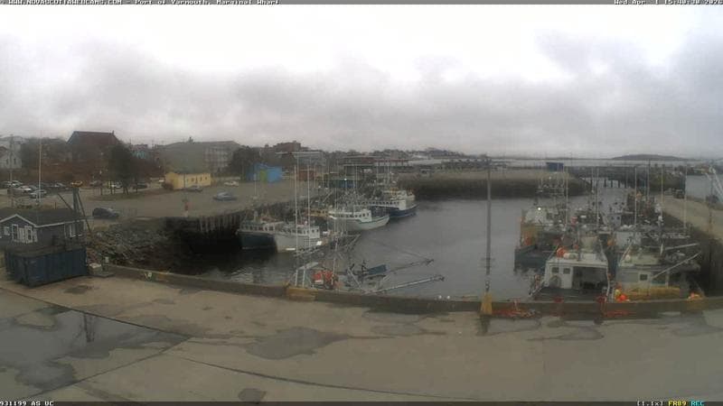 Marginal Wharf South