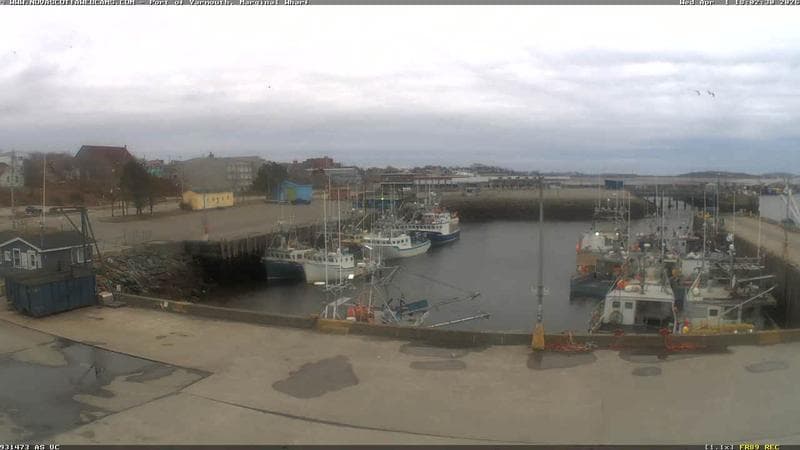 Marginal Wharf South