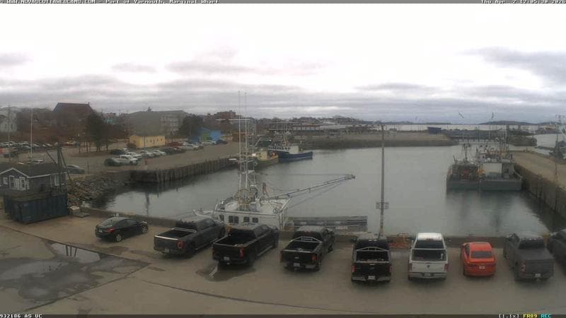 Marginal Wharf South