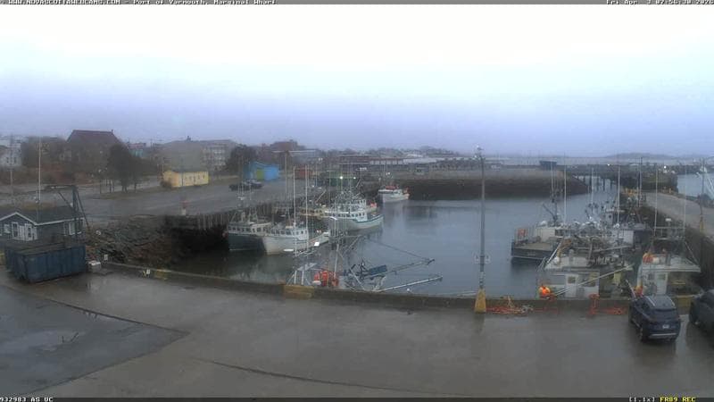 Marginal Wharf South