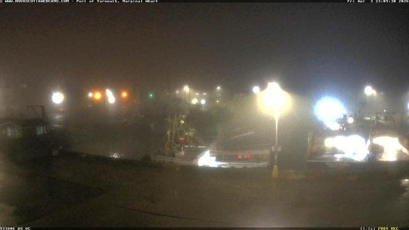 Marginal Wharf South