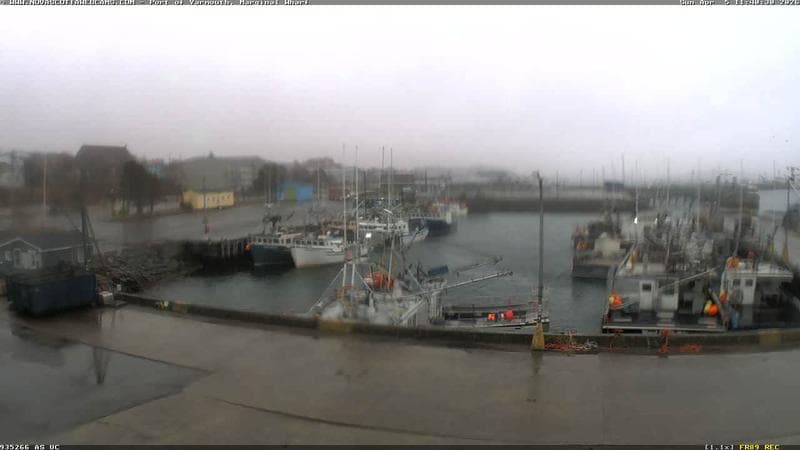 Marginal Wharf South