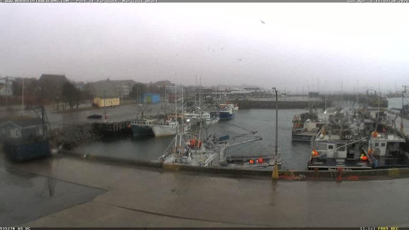 Marginal Wharf South