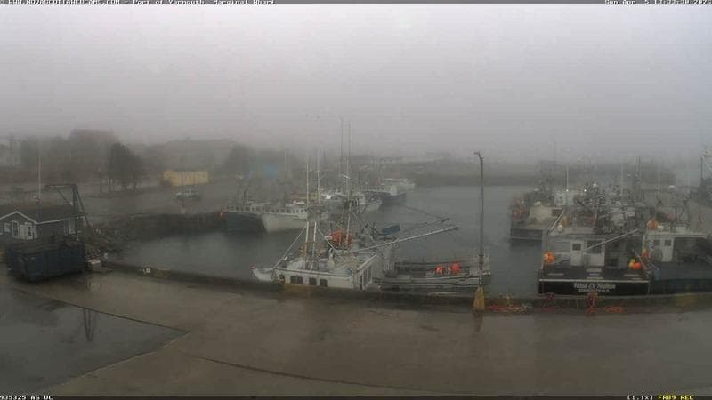 Marginal Wharf South