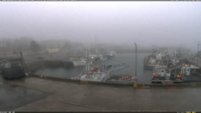 Marginal Wharf South