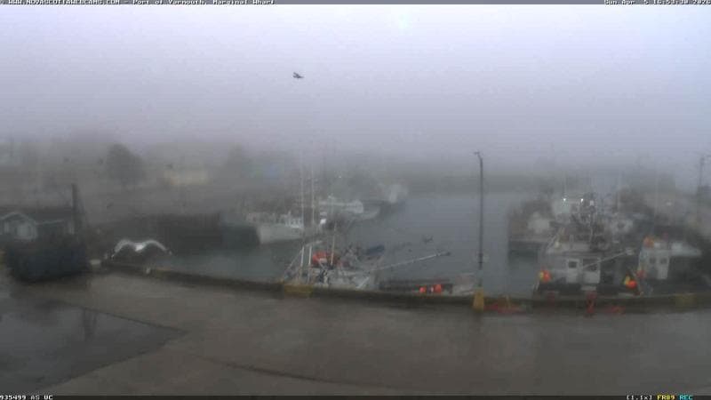 Marginal Wharf South