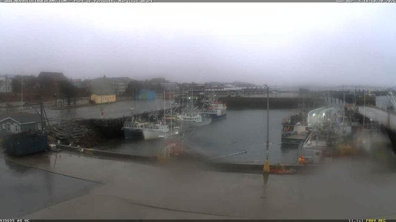 Marginal Wharf South