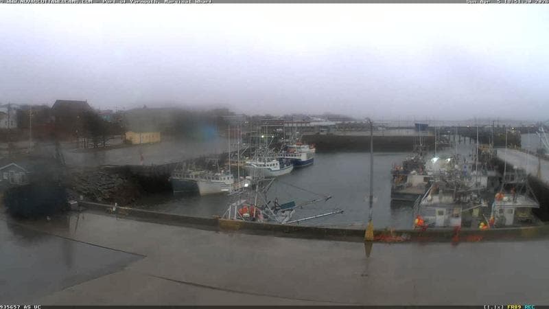 Marginal Wharf South