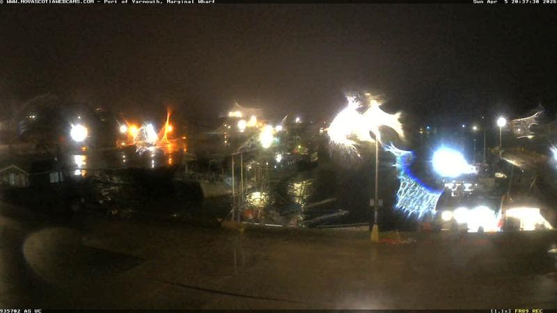 Marginal Wharf South