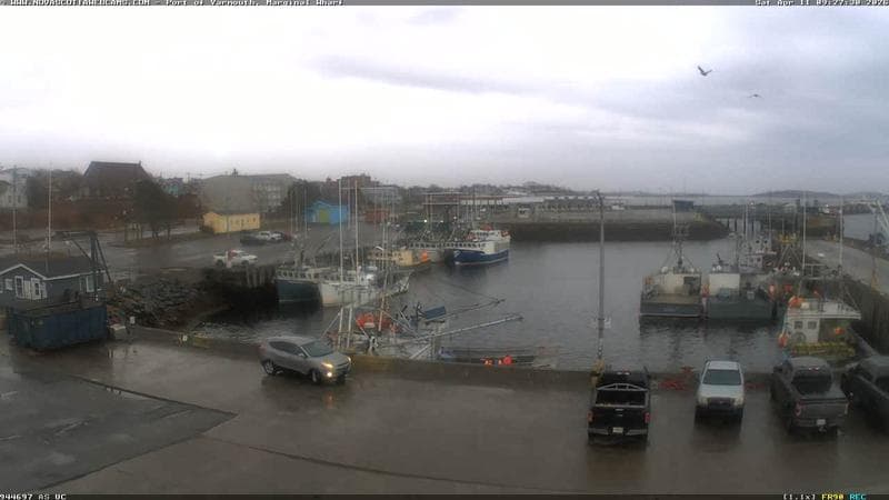 Marginal Wharf South