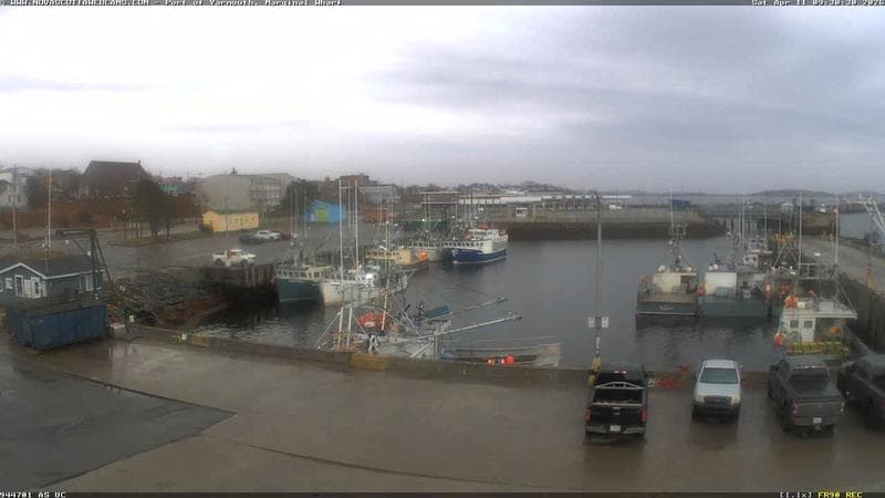 Marginal Wharf South