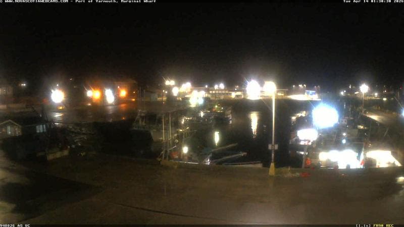 Marginal Wharf South