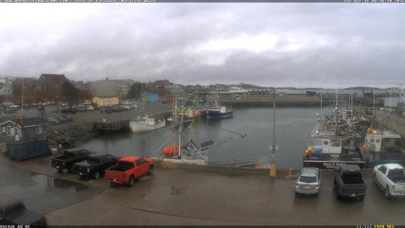 Marginal Wharf South