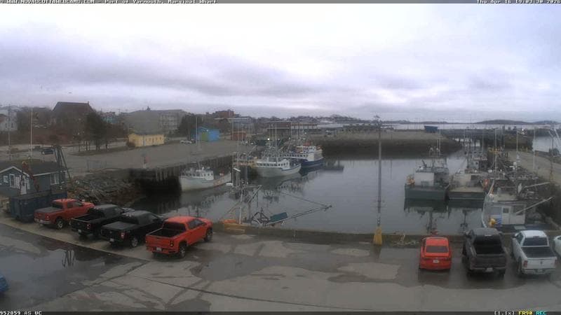 Marginal Wharf South